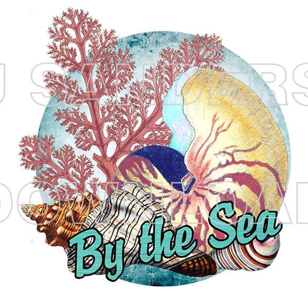 Beach and Seashell T Shirt Transfer