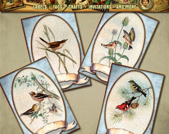 Viktorianische Vogel Illustrationen, Kunstanhänger, Hängende Tags, VogelKunst, Sofort Download, digitale Kunstkarten, Geschenkanhänger