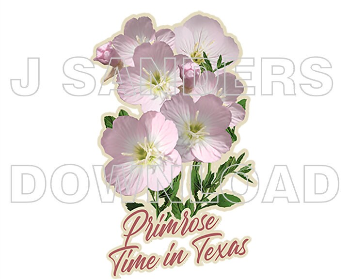 Mexican Primrose Texas Wildflower T Shirt Transfer