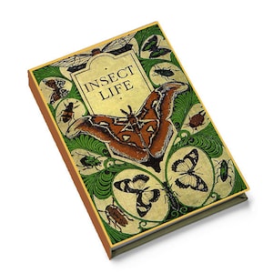 Biology and Insect Book Cover for 5.5" x 8" Hard Back Sketchbook, Science Gifts