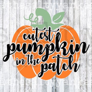May include: Orange pumpkin with a green stem and leaves. The text "cutest pumpkin in the patch" is written in black cursive lettering.