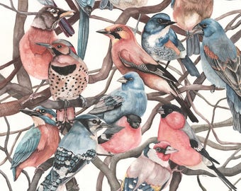 Birds on Branches - Art Print