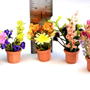 Könnte beinhalten: Acht Miniatur-Topfpflanzen mit verschiedenen bunten Blumen. Die Pflanzen stehen in Terrakotta-Töpfen und sind in einer Reihe angeordnet.