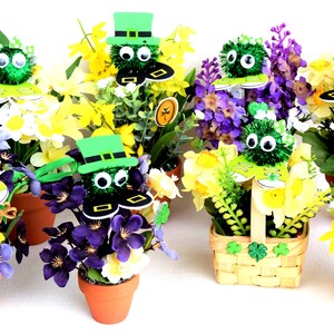 Peut inclure: Six petites compositions florales avec des décorations en forme de trèfle vert avec des yeux globuleux et un chapeau de lutin vert. Les arrangements sont dans des pots et des paniers et présentent des fleurs jaunes et violettes.