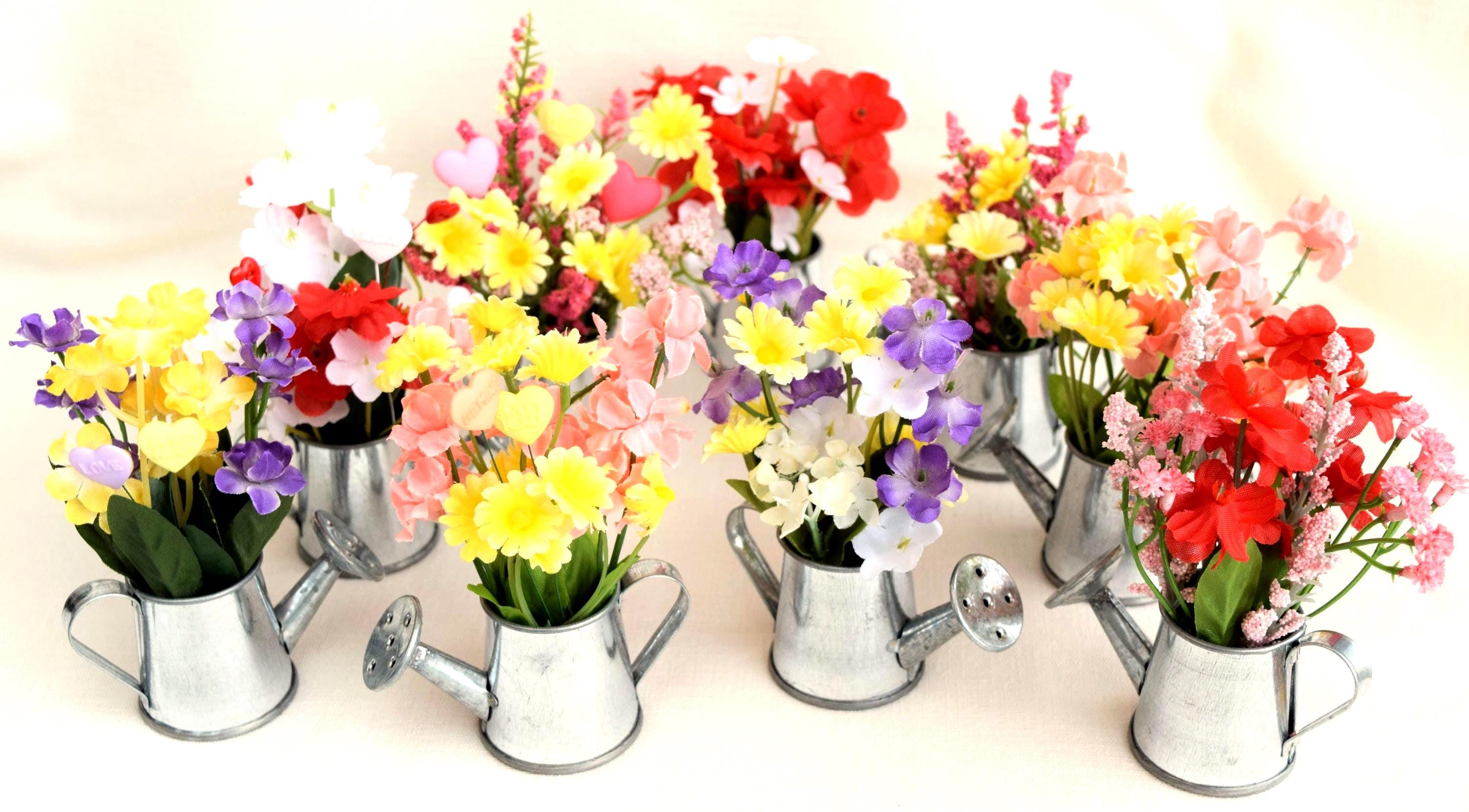 Miniature Metal Watering Cans And Valentine's Flowers Any Occasion & Valentine's Day Decor