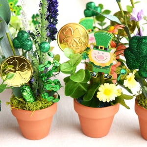 May include: Four small terracotta pots with green plants, gold coins, and shamrock decorations. The pots are decorated with green glitter and rhinestones.