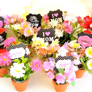 May include: Six small potted flower arrangements with decorative signs. The signs have different messages, including "I love Mom", "Mother's Day", and "For the Mother in the World".