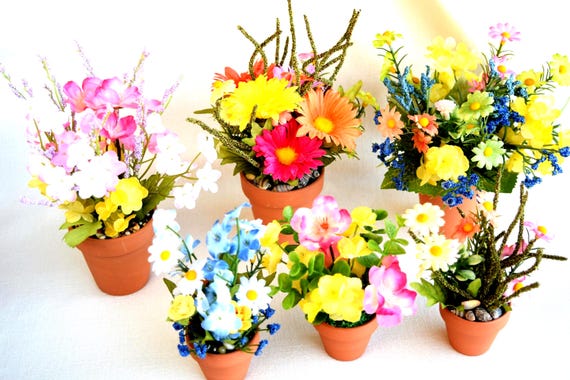 can you plant a fig tree in a pot Fig Trees main image 1
