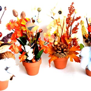 May include: Four small terracotta pots filled with fall-themed floral arrangements. Each arrangement features a variety of elements, including orange and yellow flowers, berries, cotton, and pinecones. The arrangements are set against a white background.