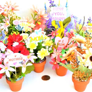 Op de afbeelding: Zes kleine potplantenarrangementen met verschillende kleurrijke bloemen en decoratieve borden. De borden zeggen "Happy Mother's Day", "Mom", "#1 Mom", "I Love You Mommy" en "Mother".