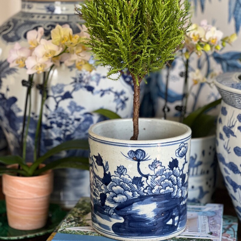 Small Dynasty Orchid Pot Landscape Motif main image 0
