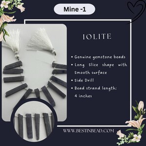Può includere: Un filo di perline di iolite. Le perline sono di colore grigio blu scuro, a forma di fetta lunga con una superficie liscia. Il filo è lungo 10,16 cm e ha nappe bianche a ciascuna estremità. Il testo "IOLITE" è visualizzato.