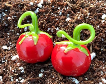 Tomato Earweights