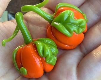Pumpkin earweights