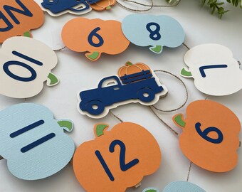 Little Pumpkin 1st Birthday Blue Truck Boy Birthday Banner, Pumpkin Monthly Photo Banner, Boy Pumpkin 12 Month Photo Banner, Blue Truck