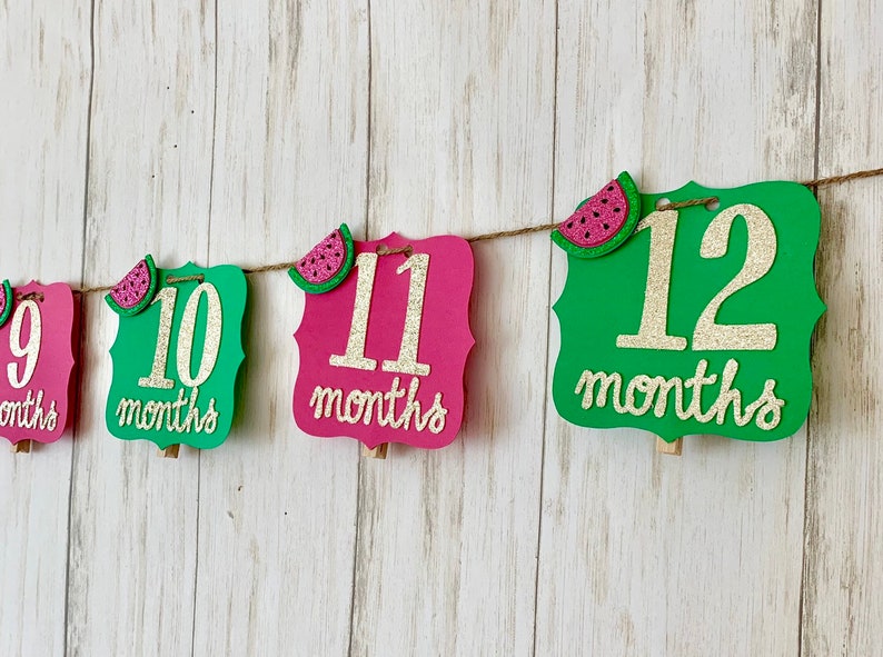 Watermelon monthly photo banner watermlon photo banner watermelon 1st birthday 12 year photo banner