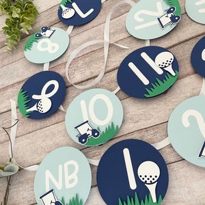 Hole in One First Birthday, Golf Photo Banner, Hole in One Birthday Decor, Golf Birthday Decorations, Golf Party Accents, Golf 1st Birthday