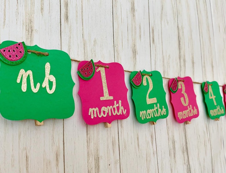 Watermelon monthly photo banner watermlon photo banner watermelon 1st birthday 12 year photo banner