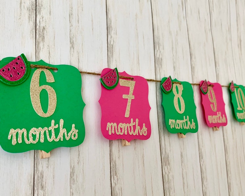 Watermelon monthly photo banner watermlon photo banner watermelon 1st birthday 12 year photo banner