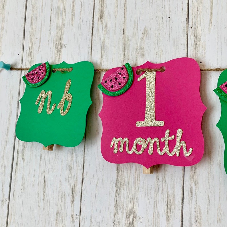 Watermelon monthly photo banner watermlon photo banner watermelon 1st birthday 12 year photo banner