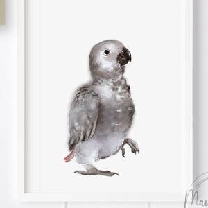 PRINTABLE baby parrot nursery art print, jungle safari baby room decor, DIGITAL DOWNLOAD, black and white , cute baby animal wall decor