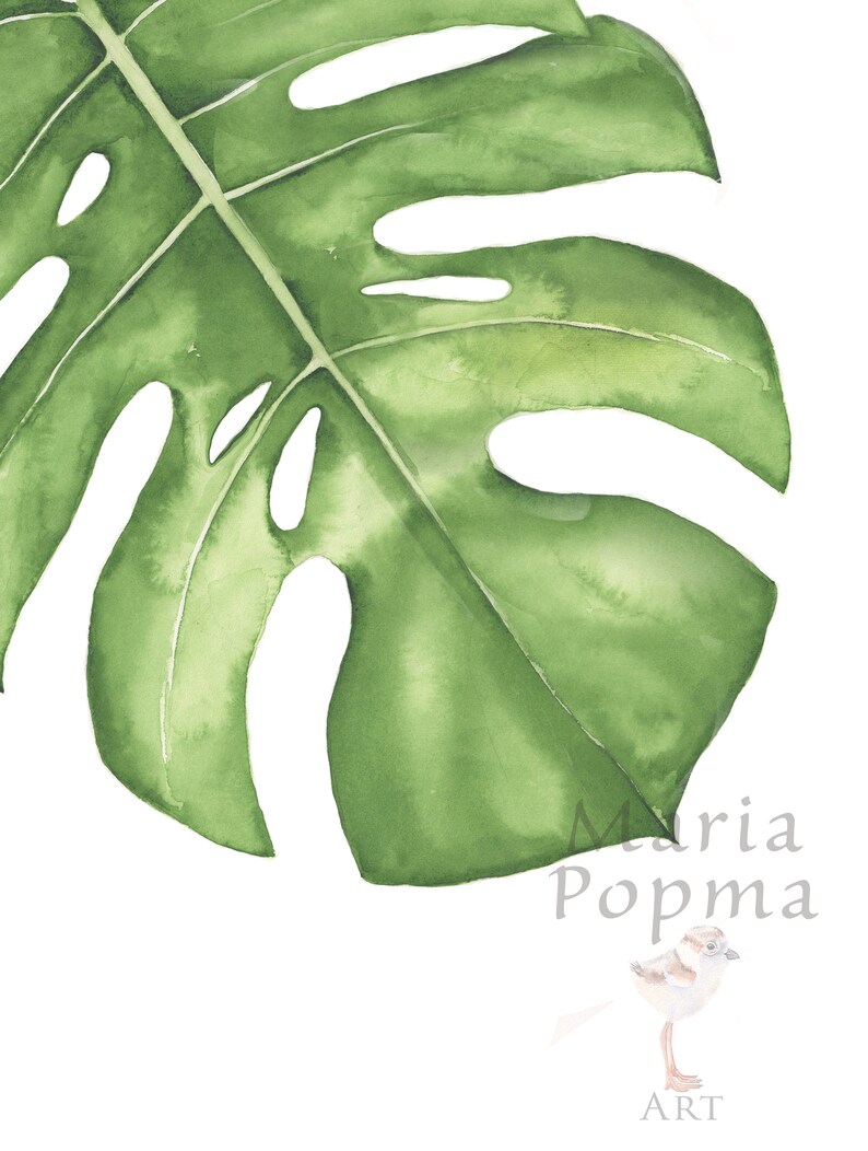 Tropical Botanical Nursery Art Print Boho Nursery Etsy