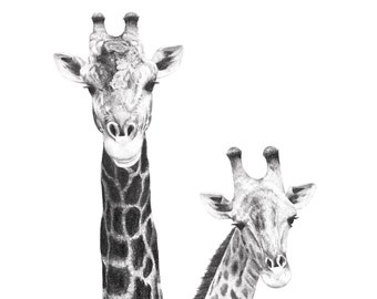 Giraffe Drawing, Giraffe Print, Two Giraffes Fine Art Pencil Drawing, Giraffe Art, Animal Art, Animal Drawing, Art Print, Giclée Print