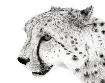 Cheetah Drawing Giclee Print, Fine Art Graphite Pencil Drawing, African Animal Drawing, Animal Art, Gift for Men, Animal Lover, Wall Art