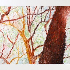 Original Oil Pastel Trees, Tree Drawing, Pastel Trees, Nature Drawing, Forest Drawing, Small Oil Pastel Art image 1