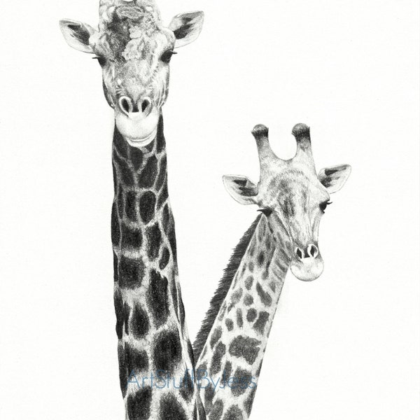 Giraffe Drawing, Two Giraffes Fine Art Pencil Drawing, Giraffe Art, African Animal Drawing, Animal Art