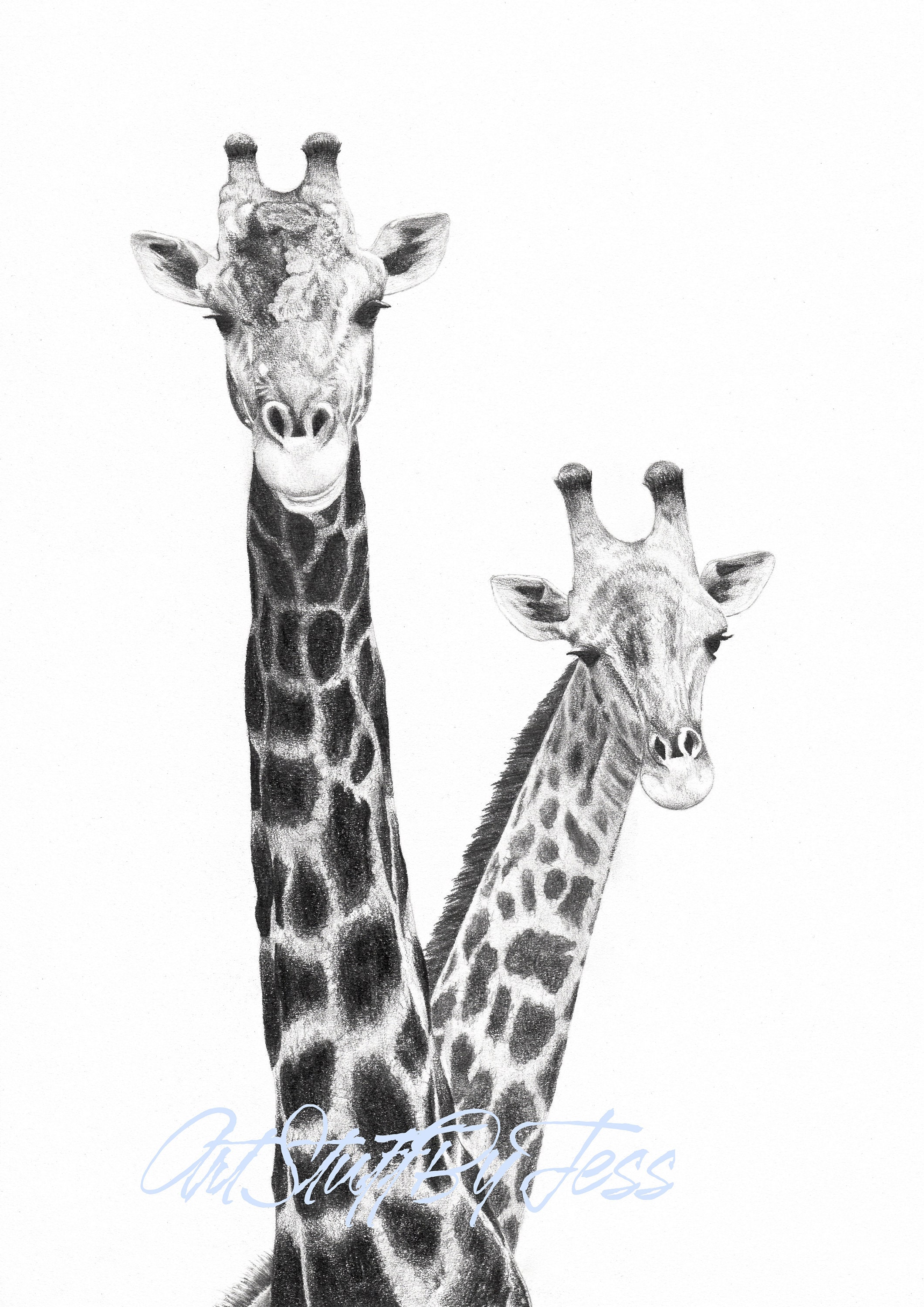 Giraffe Drawing Giclée Print Two Giraffes Fine Art Pencil | Etsy