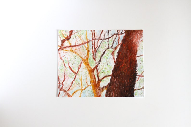 Original Oil Pastel Trees, Tree Drawing, Pastel Trees, Nature Drawing, Forest Drawing, Small Oil Pastel Art image 1