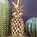 see more listings in the Cacti Succulents section