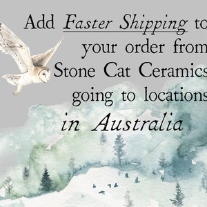 Upgrade to a Faster Shipping method for orders travelling within Australia.