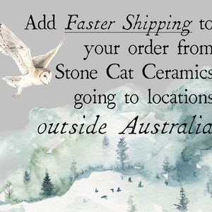 Upgrade to a Faster Shipping method for orders going outside Australia.