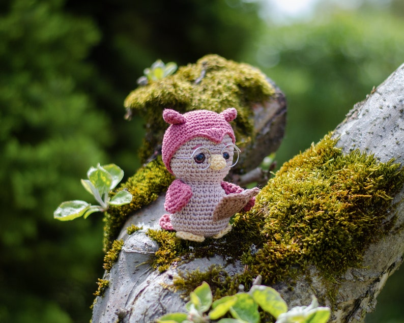 Edna, the reading owl Amigurumi crochet pattern by Sameko Design German image 7