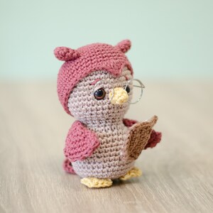 Edna, the reading owl Amigurumi crochet pattern by Sameko Design German image 5