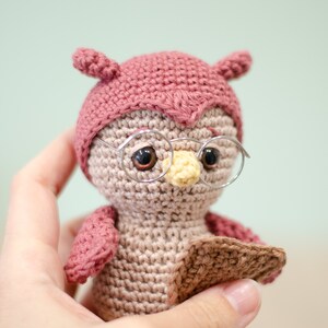 Edna, the reading owl Amigurumi crochet pattern by Sameko Design German image 4