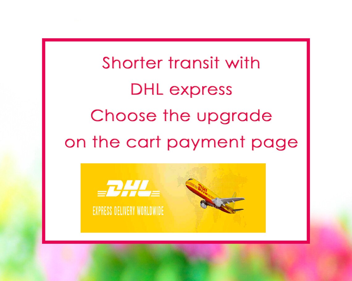 Women Purses Cute Purse Leather Purse Credit Card Wallet Etsy