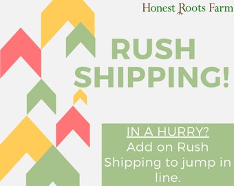 Rush Order / Fast Shipping / Jump in Line Upgrade / Ship Next Day
