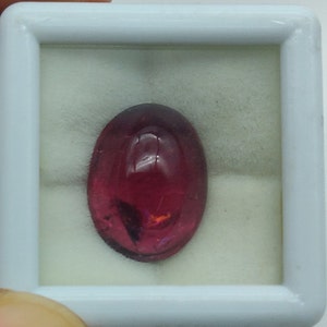 May include: A polished, oval-shaped, deep red gemstone, possibly a ruby or garnet, set against a white background within a square, white plastic display case. The stone has a glossy surface.