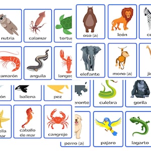 Spanish Animal Flashcards