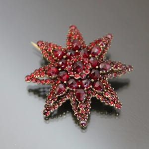 XL Victorian Bohemian Garnet Star Brooch, Rose Cut. Antique Garnets.