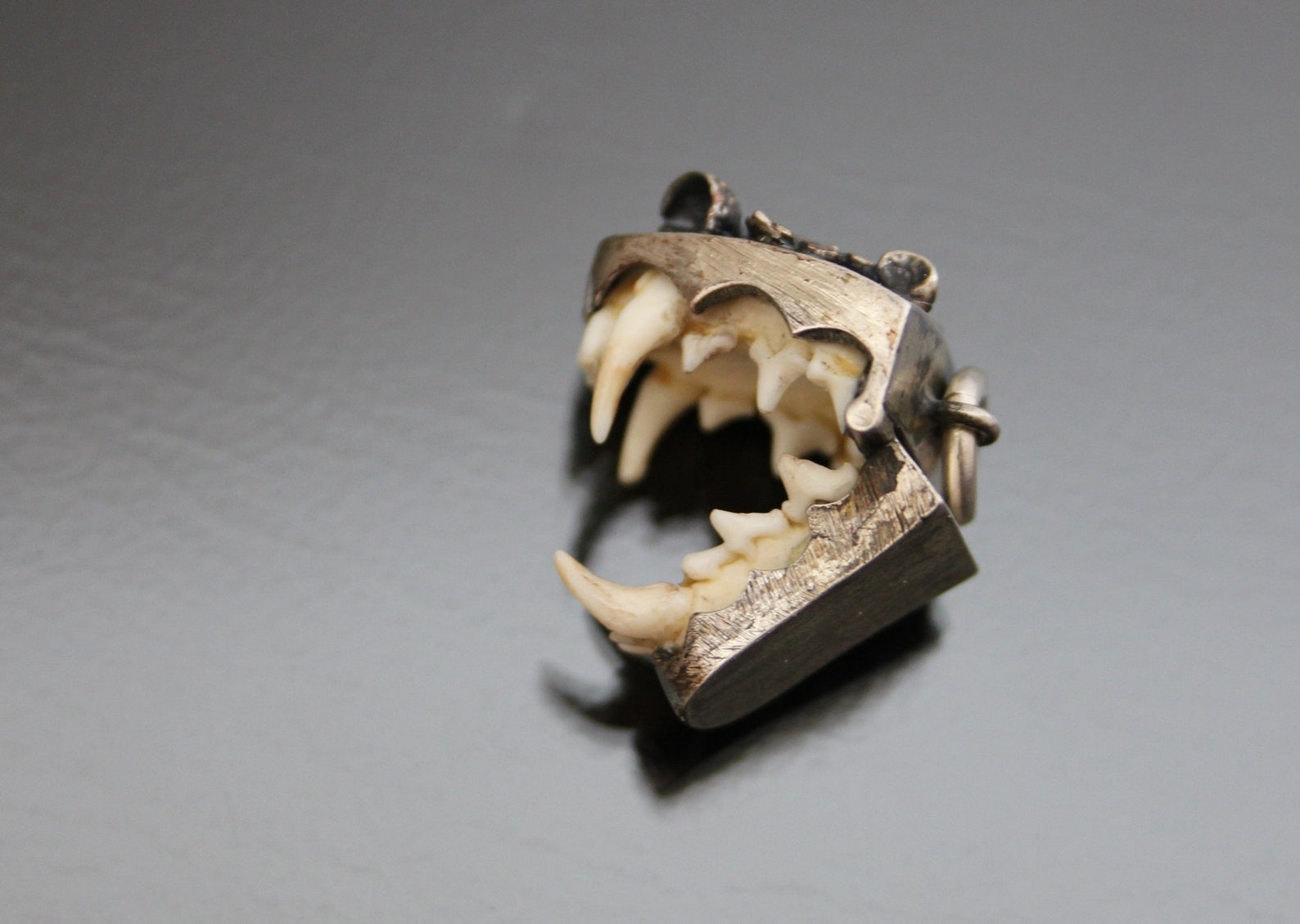 What is a Charivari? Learn more about these Lederhosen Chains