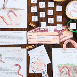 Earthworm Mini Study Printable Morning Basket Activities for Homeschool Ages 4–12 | Nature Unit Study PDF | Life Cycle Worksheets