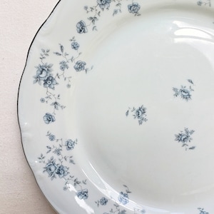Vintage Set/4 pcs Johann Haviland 10&quot; Dinner Plates/Blue Garland-Silver Trim/Fine Porcelain Dinnerware/Made in Bavaria-Germany/FREE Shipping