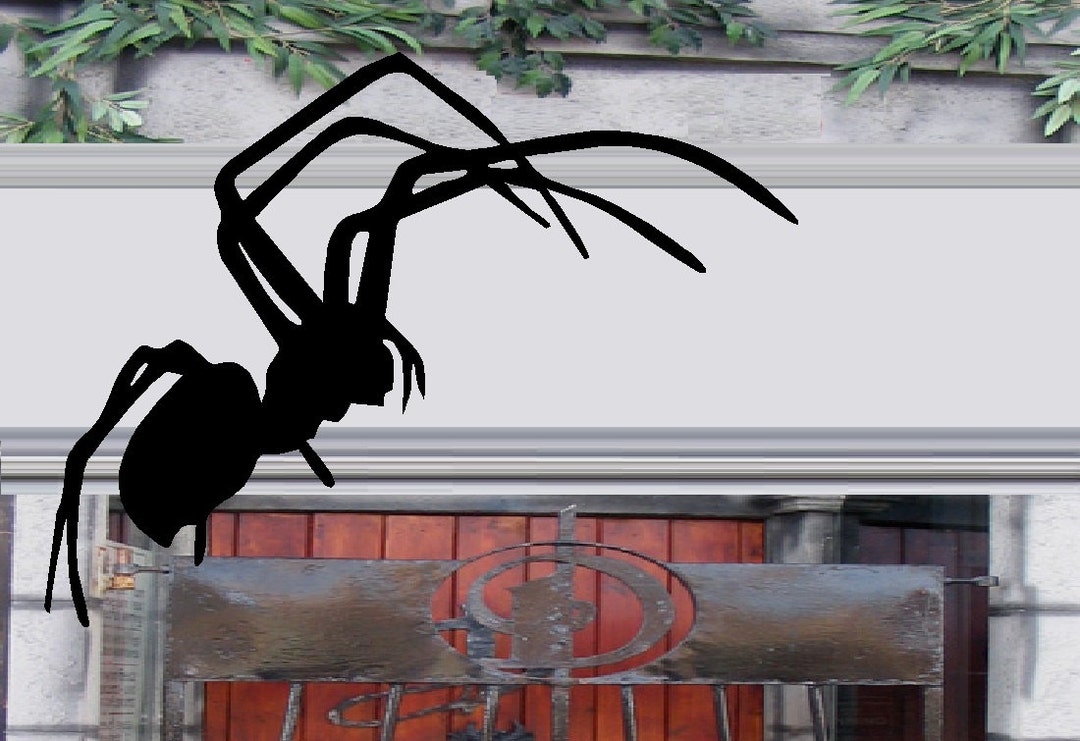 SPIDER #2 Large - Wall or Window Decal - Etsy