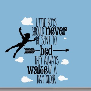 Little Boys should never be sent to bed: Wall or Window Decal