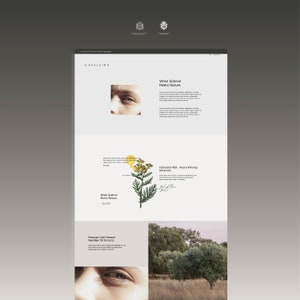 shopify THEME- apothecary site design- beauty theme design- candle theme design- cosmetician theme design- boutique shopify theme