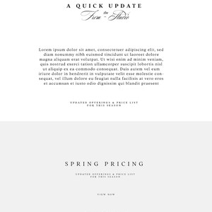 May include: A website layout for New Guinea Photography, featuring a logo, text, and a collage of images. The design includes a gift box, fabric, stationery, and a bride's dress. Text includes "A Quick Update" and "Spring Pricing."